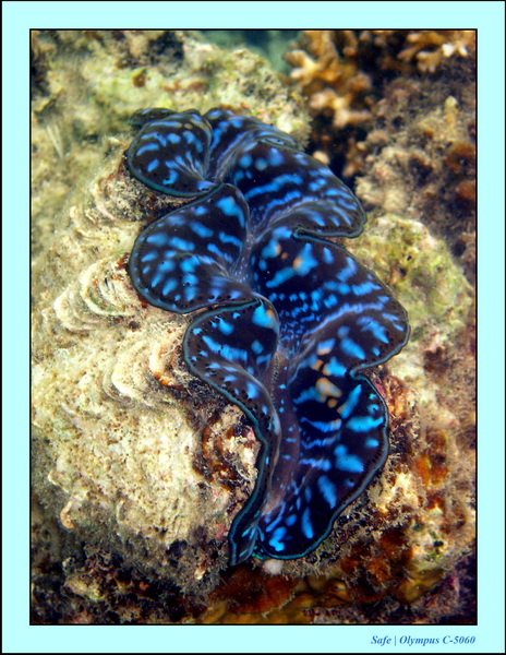 2005 - 08 - Perhentian  - 073.JPG